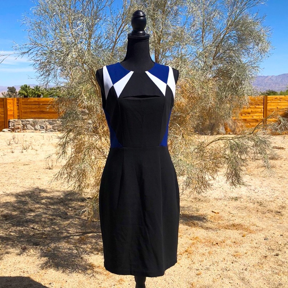 BCBG formal dress with slit in chest area